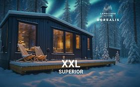 Lapland Landscape Cabin with Nature View, Sauna, Fireplace&Kitchen, Ylläs, Äkäslompolo, Borealis Village